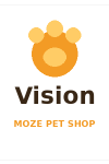 Vision