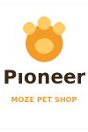 Pıoneer