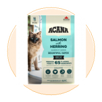 Kedi Maması