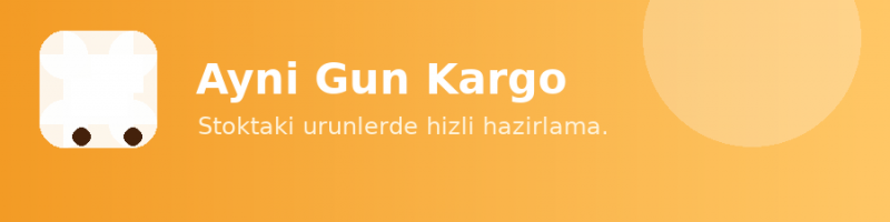 AYNI GÜN KARGO