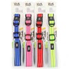 Ally Paws Dog Collar Köpek Boyun Tasması Medium 2cmx35-50cm