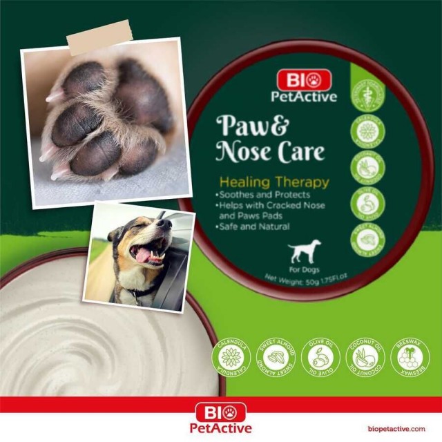Bio Pet Active Paw & Nose Care Pati ve Burun Kremi 50gr