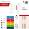 Curli Vest Harness Clasp Air-Mesh Köpek Göğüs Tasması 2XS Moss