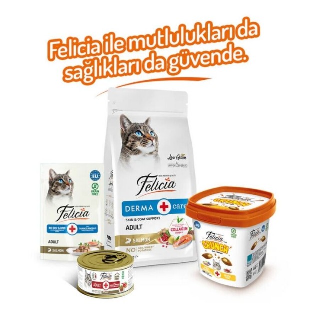 Felicia Anti Hairball Tavuk Etli Yaban Mersinli ve Sütlü Kedi Crunch Ödül Maması 100gr