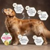 Felicia Düşük Tahıllı Hipoalerjenik Kuzu Etli Küçük ve Orta Irk Yavru Köpek Maması 3kg