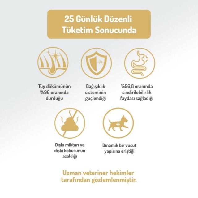 Felicia Düşük Tahıllı Hipoalerjenik Kuzu Etli Orta ve Büyük Irk Yetişkin Köpek Maması 3kg