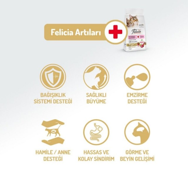 Felicia Düşük Tahıllı Hipoalerjenik Kuzu Etli Yavru Kedi Maması 2kg
