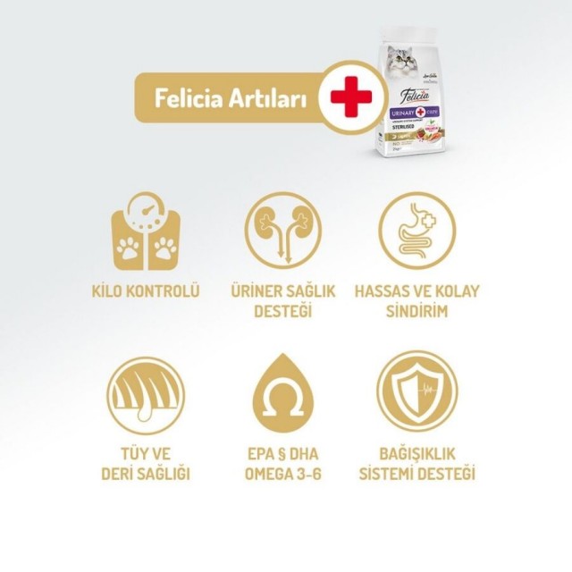 Felicia Düşük Tahıllı Hipoalerjenik Somonlu Kısırlaştırılmış Kedi Maması 12kg