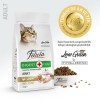 Felicia Düşük Tahıllı Hipoalerjenik Tavuklu Yetişkin Kedi Maması 2kg