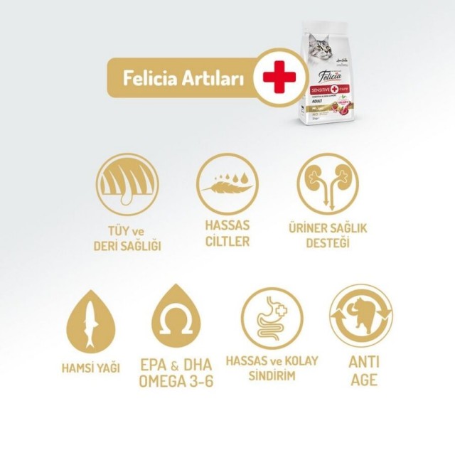 Felicia Düşük Tahıllı Kolajenli Hipoalerjenik Kuzu Etli Yetişkin Kedi Maması 2kg