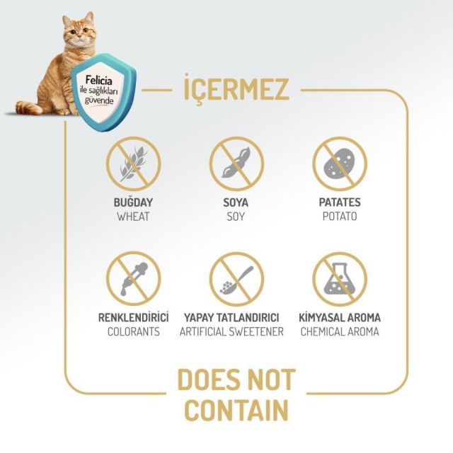 Felicia Kitten & Mother Az Tahıllı Kuzu Etli Kedi Maması 12 kg