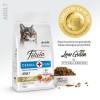 Felicia Somon Balıklı Yetişkin Kedi Maması 2 kg