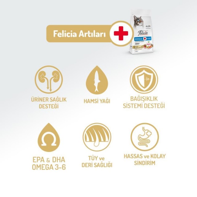 Felicia Somon Balıklı Yetişkin Kedi Maması 2 kg