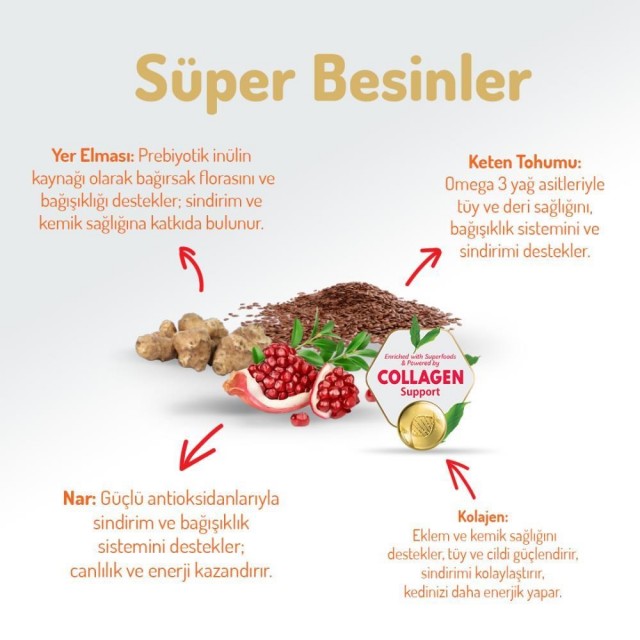 Felicia Somon Balıklı Yetişkin Kedi Maması 2 kg