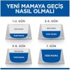 Hills Kitten Tavuklu Yavru Kedi Maması 3kg