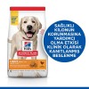 Hills Light Tavuklu Büyük ve İri Irk Yetişkin Köpek Maması 14kg