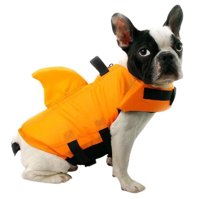 Lion Shark Köpek Can Yeleği S