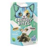 M-Pets Crunchy Bites Kedi Otlu Kedi Ödülü 60gr