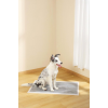 M-Pets Essential Karbonlu Yapışkanlı Çiş Pedi 60x90cm 10lu (2 Adet)