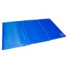 M-Pets Frozen Köpek Serinletici Minder (L) 90x50cm
