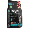 Mystic Somonlu Yetişkin Köpek Maması 15 kg