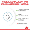 Royal Canin Babydog Milk Yavru Köpek Süt Tozu 400gr