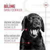 Royal Canin Bağışıklığı ve Sindirim Sistemini Destekleyen Tamamlayıcı Yavru Köpek Ödül Maması 100gr
