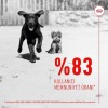 Royal Canin Bağışıklığı ve Sindirim Sistemini Destekleyen Tamamlayıcı Yavru Köpek Ödül Maması 100gr