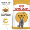 Royal Canin British Shorthair Adult Yetişkin Kedi Maması 2kg