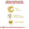 Royal Canin British Shorthair Yetişkin Kedi Maması 4kg
