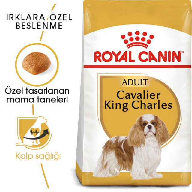 Royal Canin Cavalier King Charles Adult Yetişkin Köpek Maması 3kg
