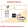 Royal Canin Hair&Skin Gravy Kedi Konservesi 12x85gr 12li