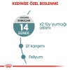 Royal Canin Hairball Care Tüy Yumağı Önleyici Yetişkin Kedi Maması 2kg