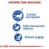 Royal Canin Indoor +7 Ev Kedileri için Yaşlı Kedi Maması 3,5kg