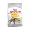Royal Canin Maxi Dermacomfort Büyük Irk Köpek Maması 12 kg