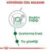 Royal Canin Mini Adult Küçük Irk Köpek Konservesi 85gr