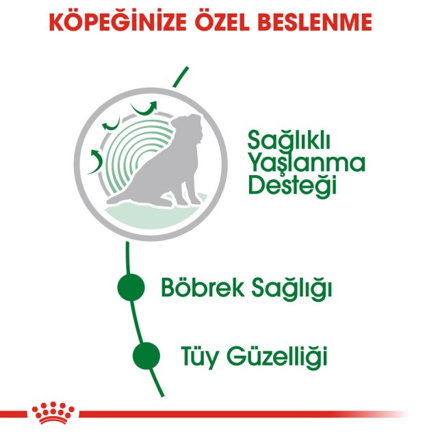 Royal Canin Mini +12 Ageing Pouch Yaşlı Köpek Konservesi 85gr