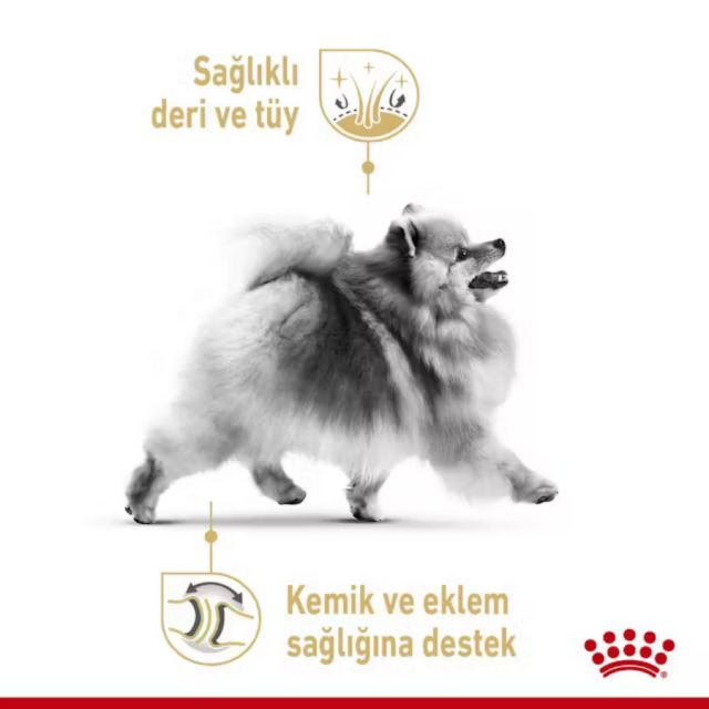 Royal Canin Pomeranian Yetişkin Köpek Konservesi 85gr