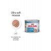 Royal Canin Starter Mousse Mother Babydog 12x195gr 12li