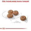 Royal Canin Sterilised Mini Kısırlaştırılmış Küçük Irk Köpek Maması 3kg