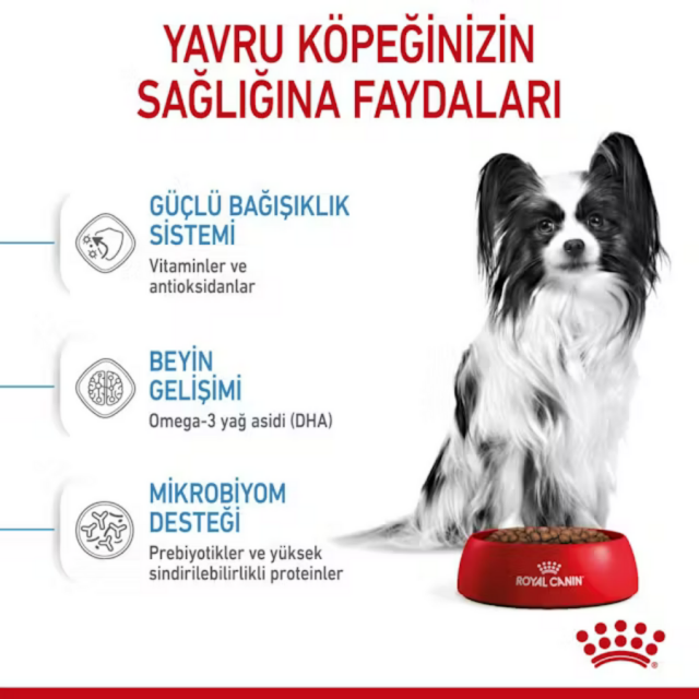 Royal Canin X-Small Küçük Irk Yavru Köpek Maması 3kg