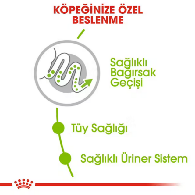 Royal Canin X-Small Küçük Irk Yetişkin Köpek Maması 3kg
