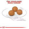 Royal Canin X-Small Küçük Irk Yetişkin Köpek Maması 3kg