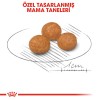 Royal Canin XSmall Küçük Irk Yetişkin Köpek Maması 1,5kg