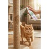 Smartpet + Catnip Sprey Kedi Otlu Oyun Spreyi 100ml