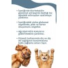 SmartPet + Oral and Dental Care Kedi ve Köpekler için Ağız ve Diş Bakım Ürünü 50ml