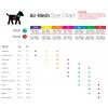 Tailpetz Air Mesh Harness Neon Lime Köpek Göğüs Tasması 3XS