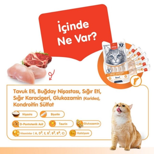 Wanpy Bone Support Sığır Eti ve Tavuklu Krema Kedi Ödülü 5x14gr