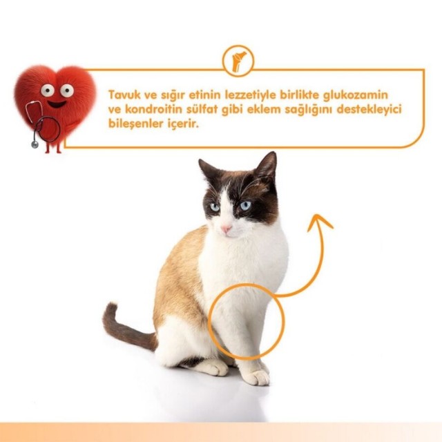 Wanpy Bone Support Sığır Eti ve Tavuklu Krema Kedi Ödülü 5x14gr