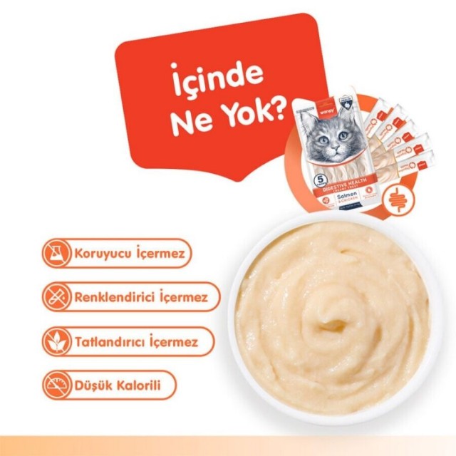 Wanpy Digestive Health Somon Balığı ve Tavuklu Krema Kedi Ödülü 5x14gr